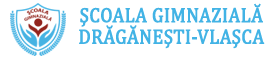 scoala-vlasca.png