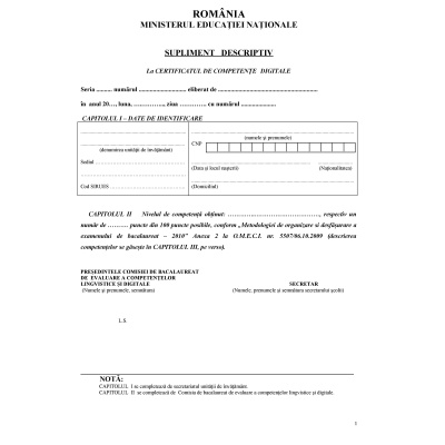 suplimentul descriptiv 2010 competente digitale-page-001 1